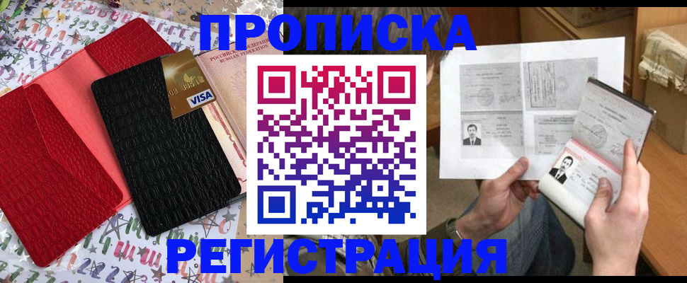 прописка поиск в Березниках